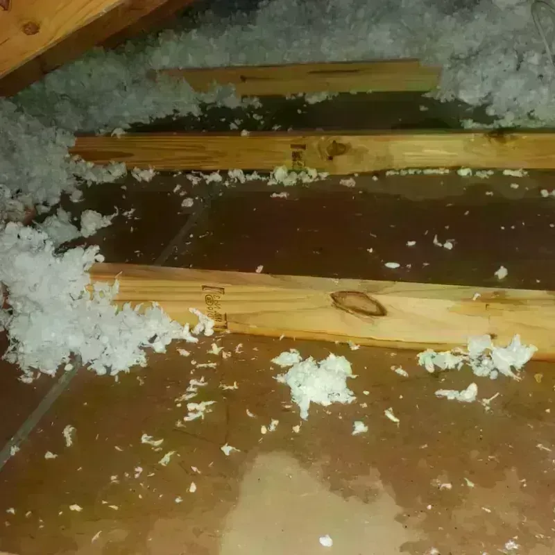 Attic Water Damage in Rouses Point, NY