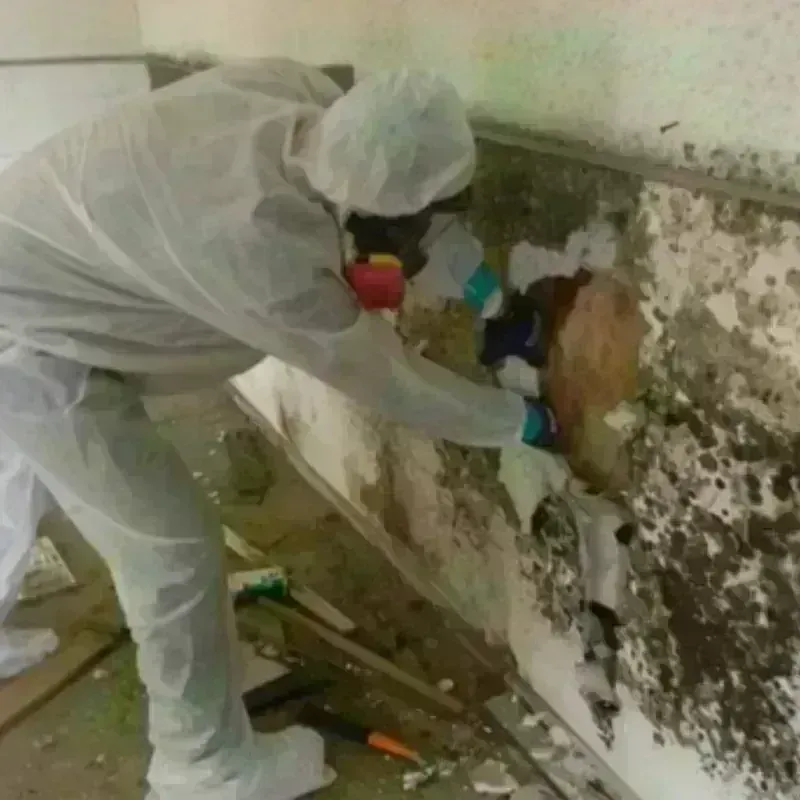 Mold Remediation and Removal in Rouses Point, NY